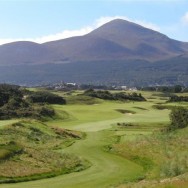 Anyone For Golf?